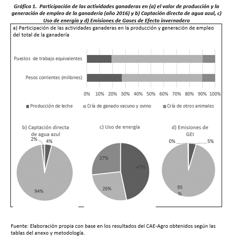 Gráfica 1