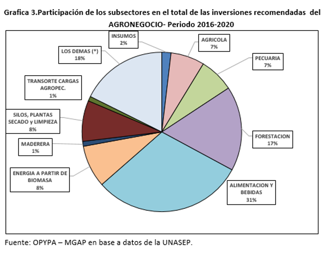 grafica 3