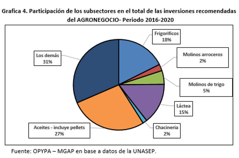 grafica 4