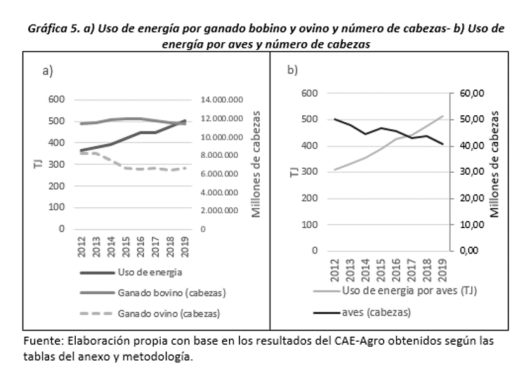 Gráfica 5