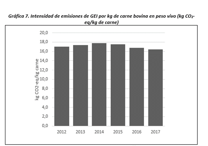 Gráfica 7