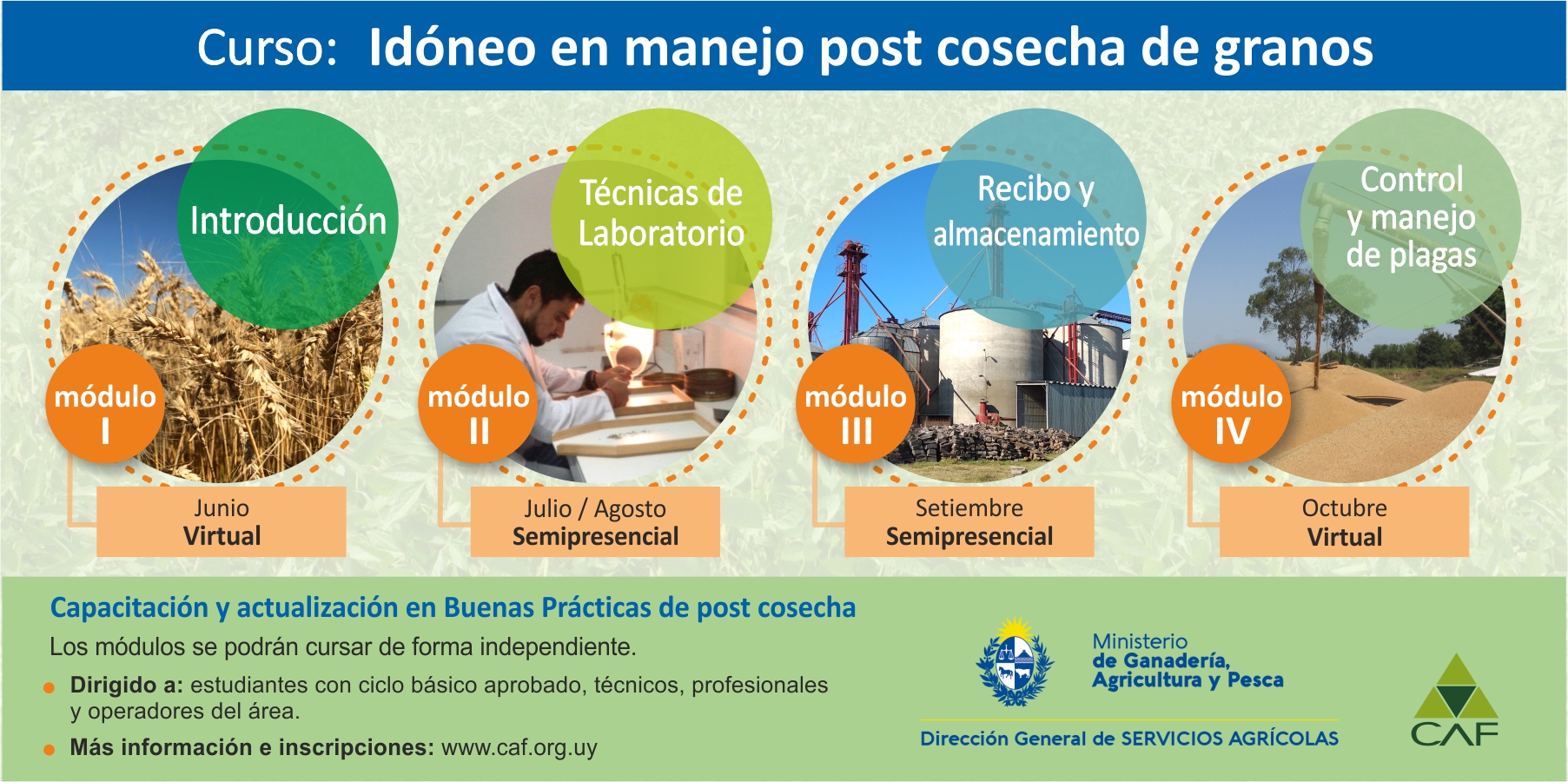 Curso