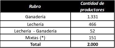 Cuadro 4. Postulantes