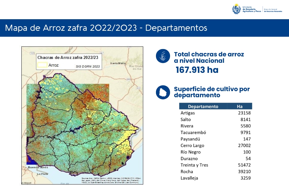 Información superficie cultivo por departamento