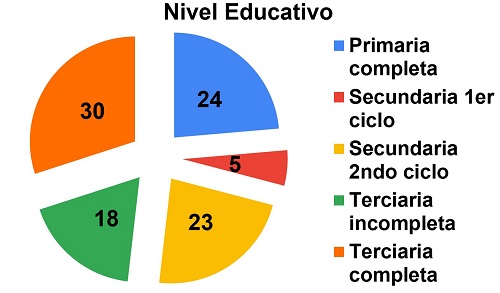 Gráfica nivel educativo