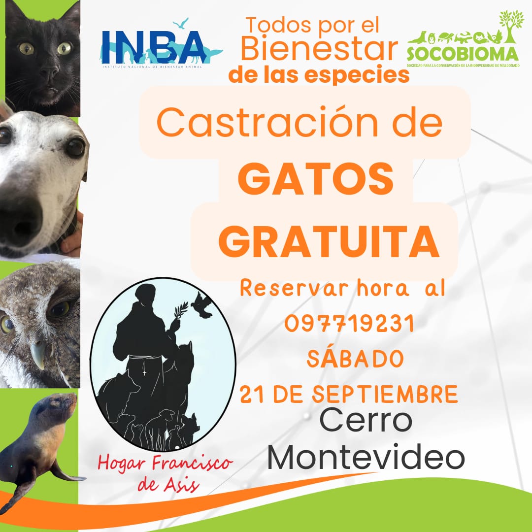 castraciones