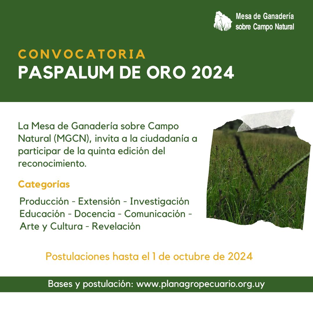 Paspalum de oro 2024