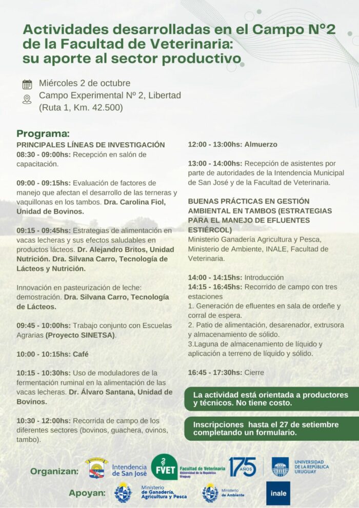 Programa actividad