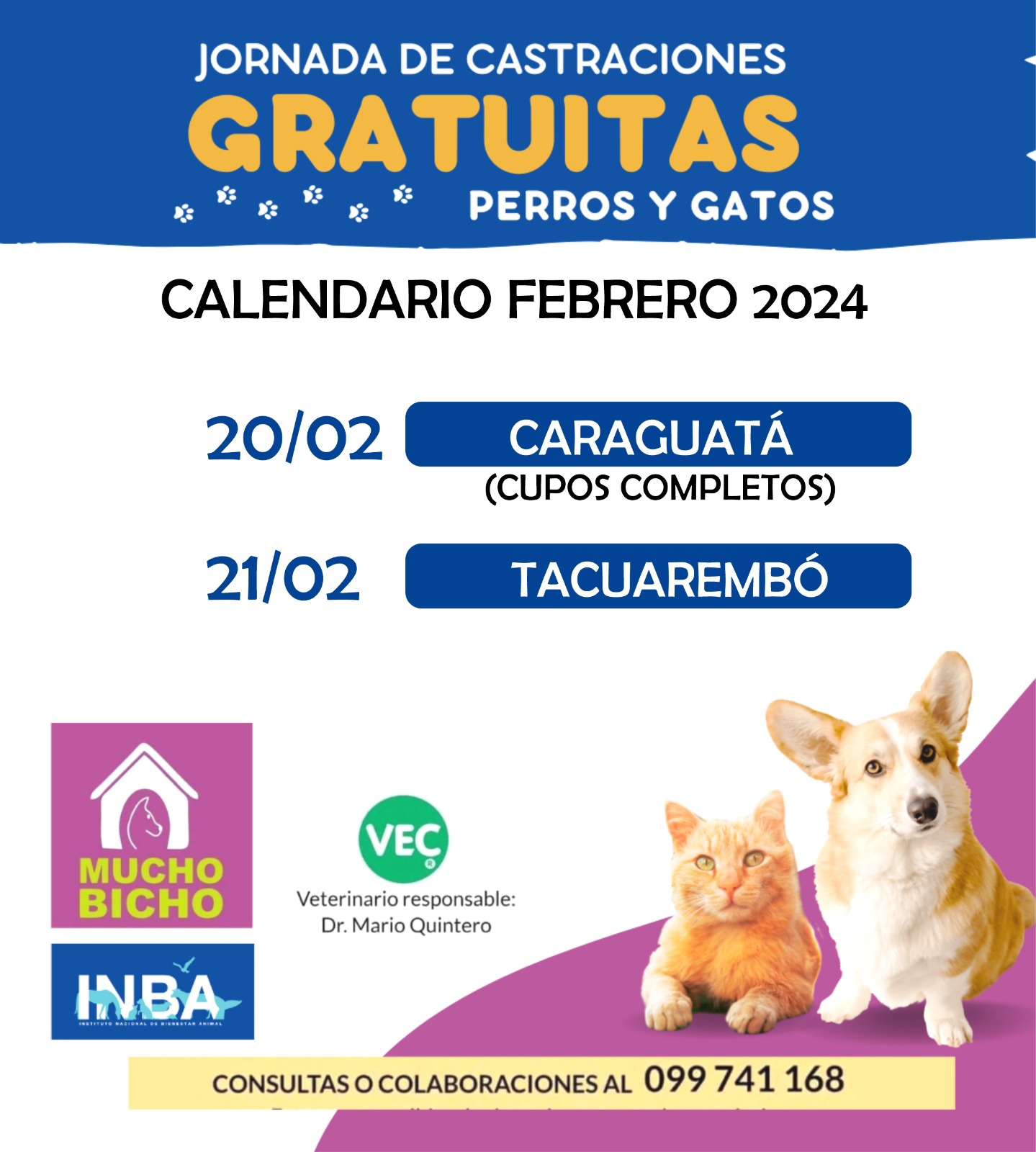 Calendario