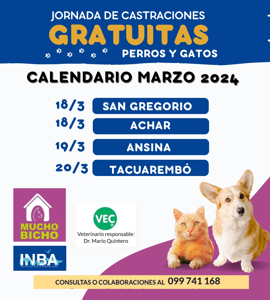 Calendario