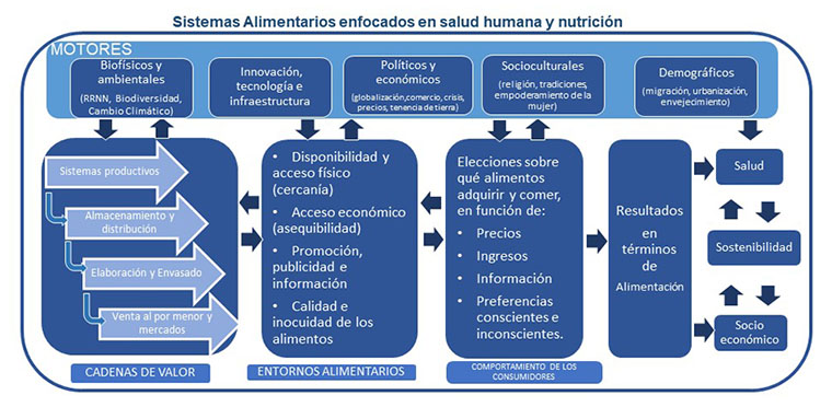 Esquema de sistemas alimentarios que se menciona en el texto