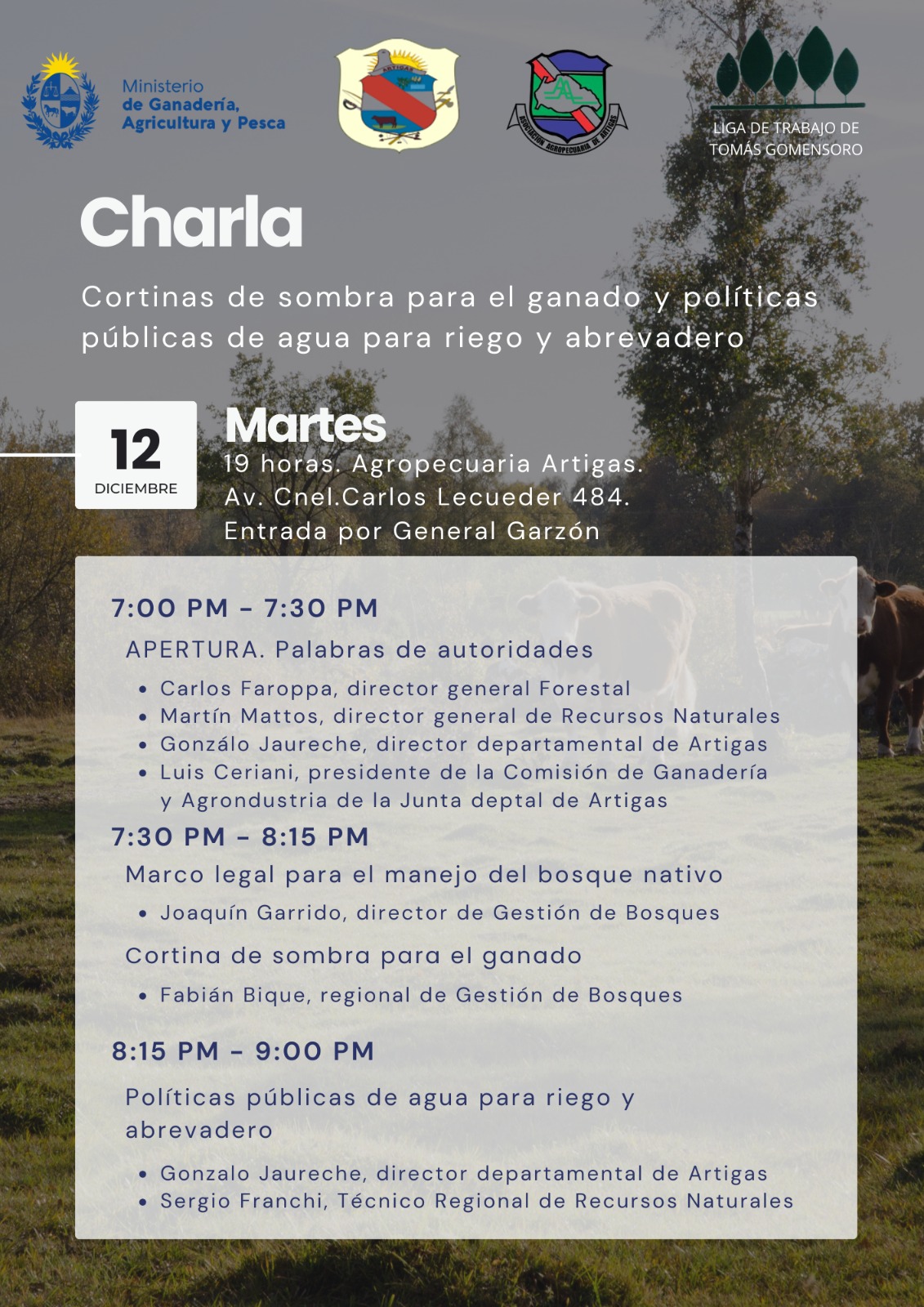 Programa de actividad