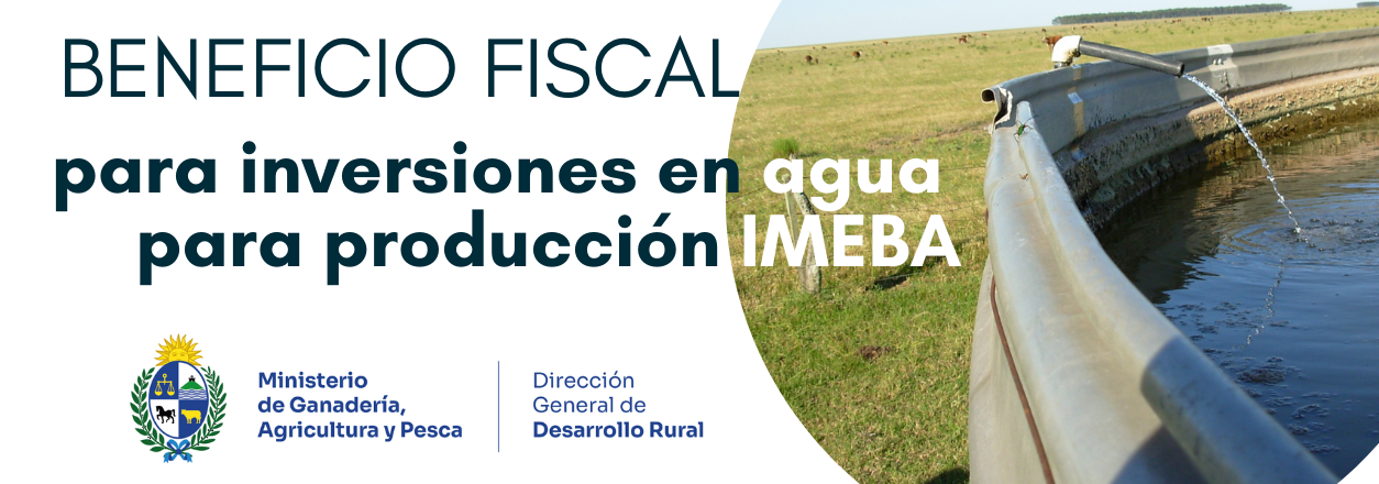 BENEFICIO IMEBA