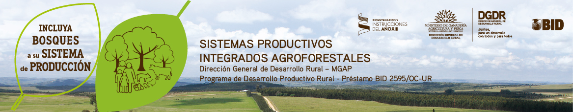 banner Sistemas agroforestales