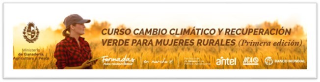 banner cc y recup verde