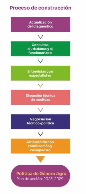 Proceso de construcción