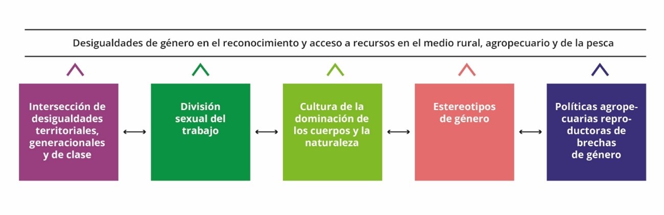 Esquema desigualdades de género en el reconocimiento y el acceso a recursos en el medio rural, agropecuario y de la pesca