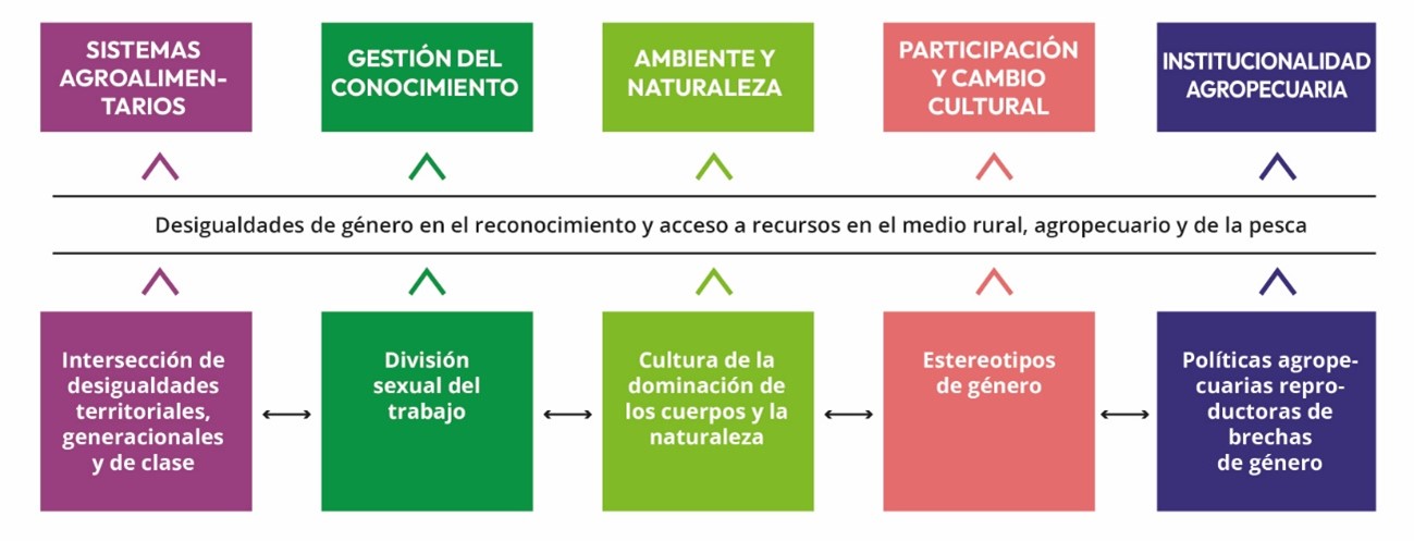 Esquema desigualdades de género en el reconocimiento y acceso a recursos en el medio rural, agropecuario y de la pesca