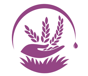 logo componente 1