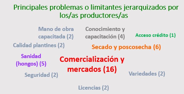 figura 4