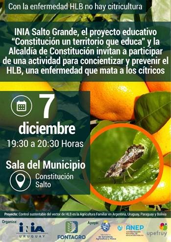 HLB