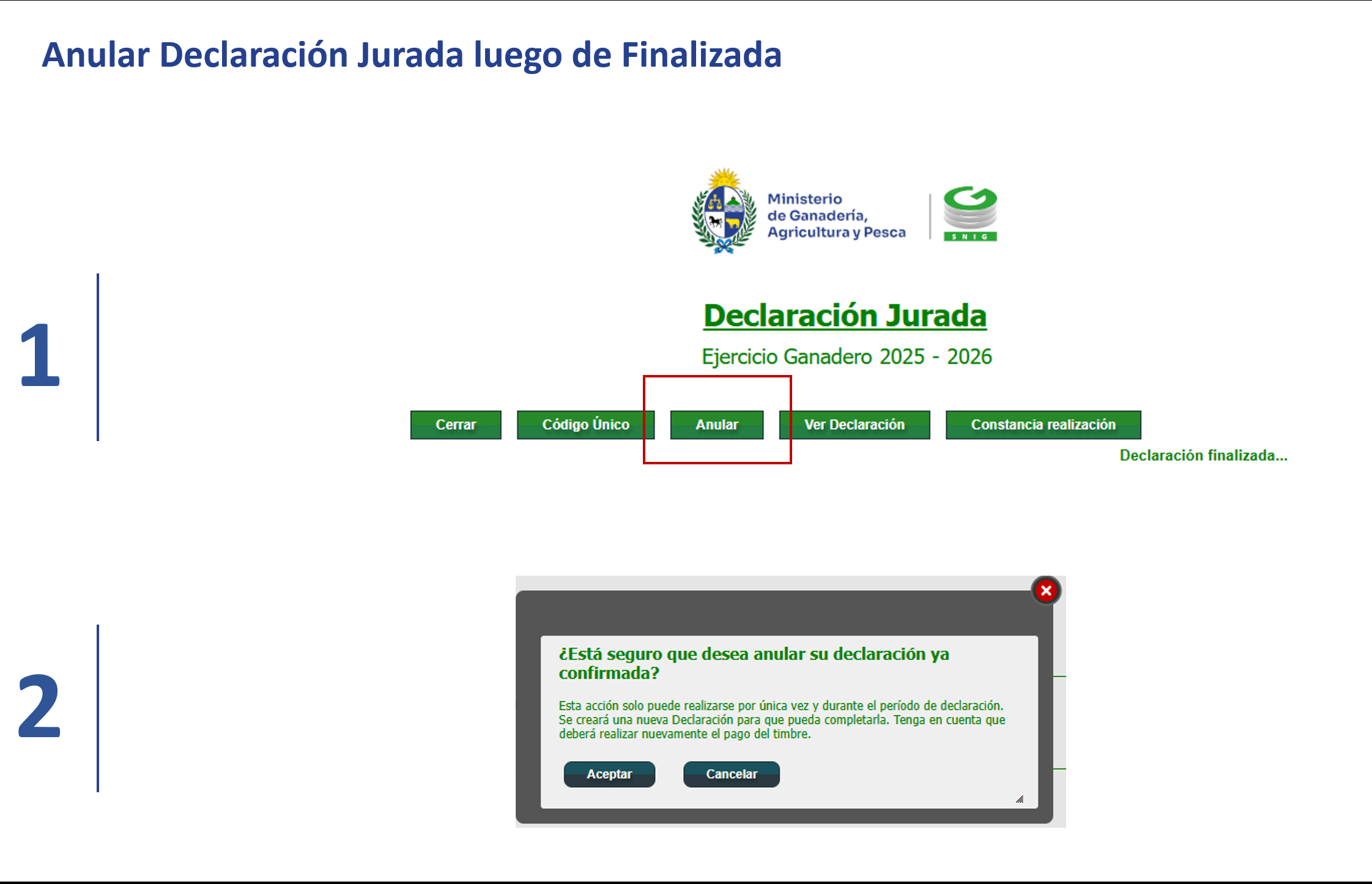 declaracion jurada