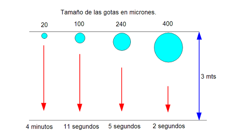 Cuadro 3