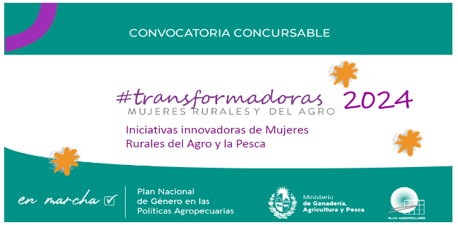 Banner convocatoria Transformadoras