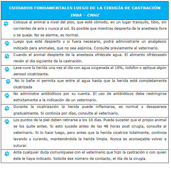 Recomendaciones post castración