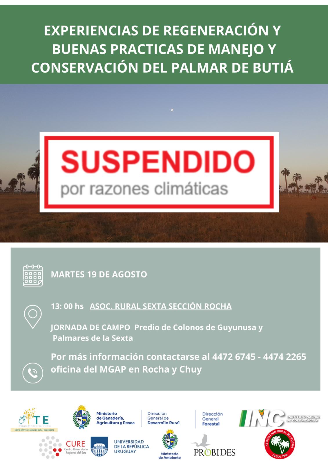 SUSPEDIDA ITE PALMAR