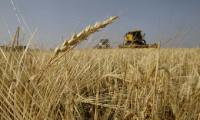 Seguros agrícolas Seguros agrícolas