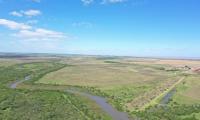 Vista panorámica de bosque nativo Vista panorámica de bosque nativo