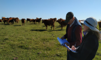 Productor Miguel Arias y Técnica Ing. Agr. Carolina Gari, en la primera visita. Productor y técnica en el campo, vacas y pasto de fondo