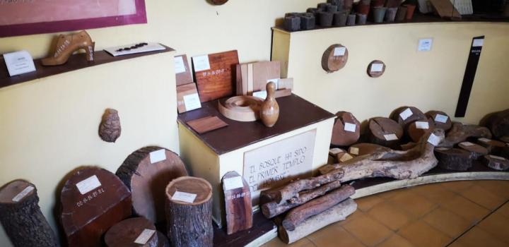 Museo de la madera