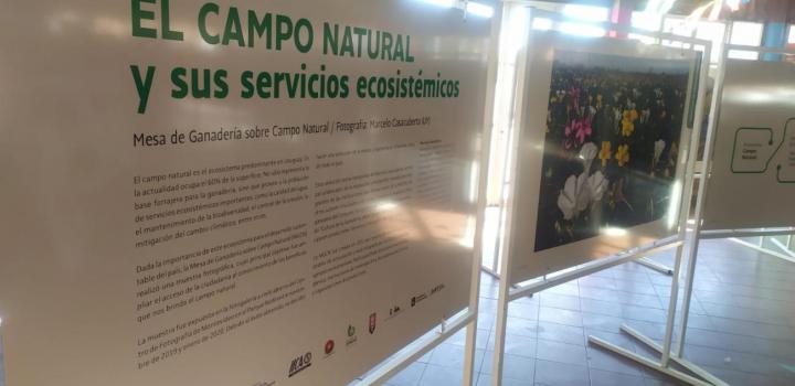 Muestra "El campo natural y sus servicios ecosistémicos"