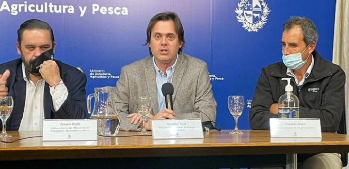 Conferencia de prensa