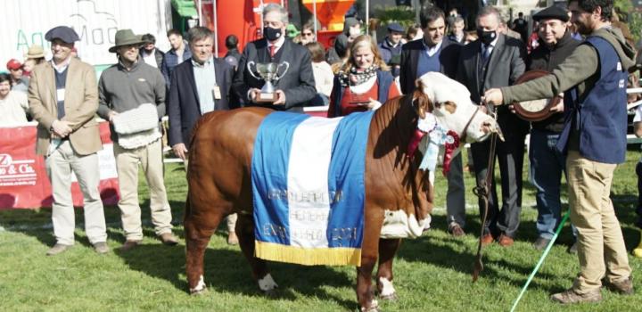 Agenda de actividades para el martes 14 - Premiación