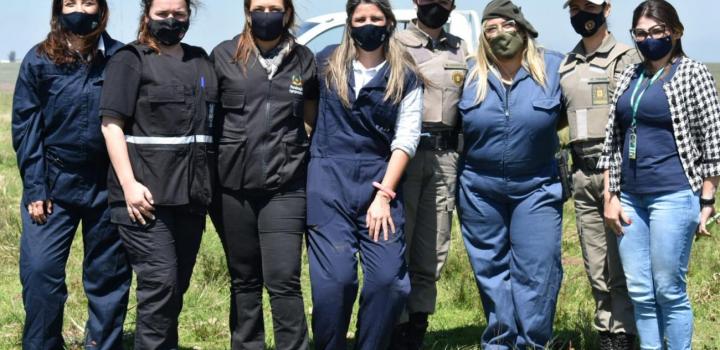 Controles en frontera