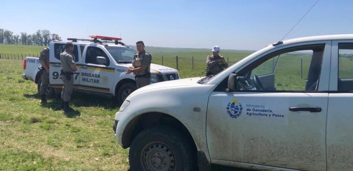 Controles en frontera