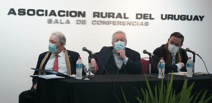 Lanzamiento