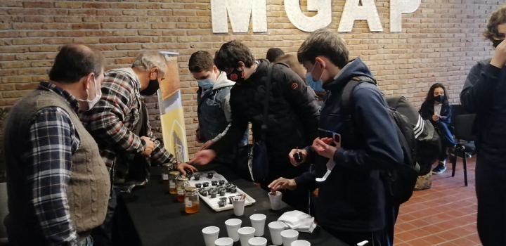 Degustación de miel