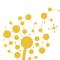 logo snider