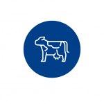 ícono plan lechería sostenible