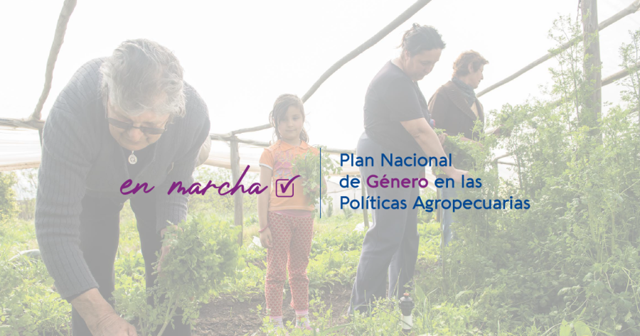 Plan Nacional de Género en las Políticas Agropecuarias