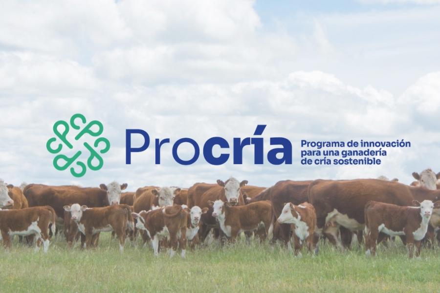Logo PROCRÍA junto a producción ganadera