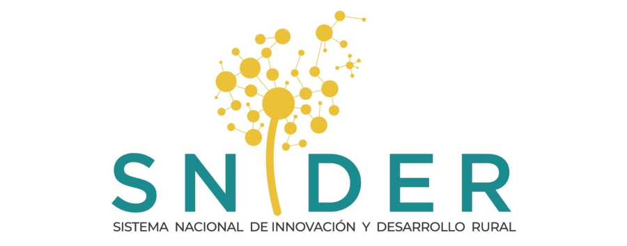 logo snider 