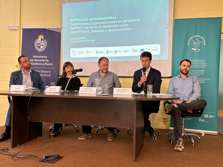 seminario paso severino