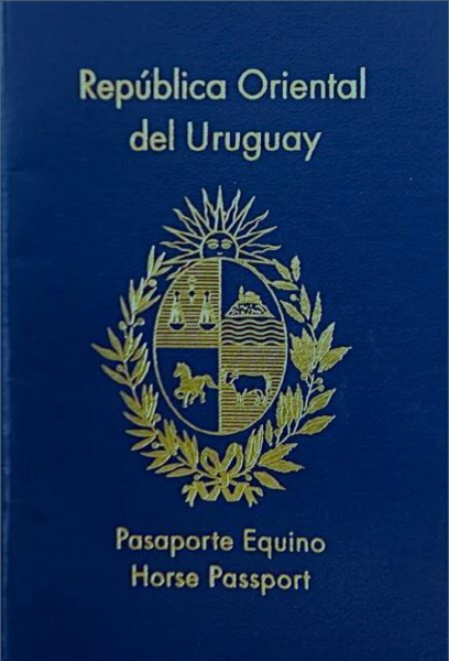 pasaporte