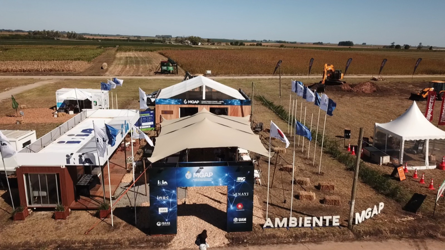 stands en Expoactiva