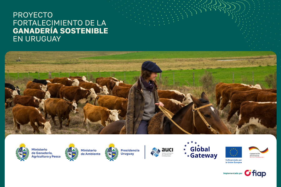 proyecto